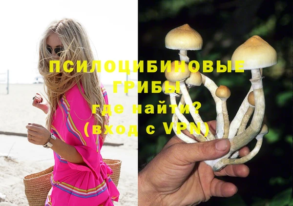 мескалин Абаза