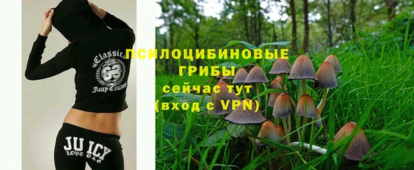 мескалин Абаза
