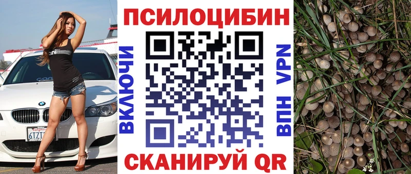 купить наркотики цена  Емва  Псилоцибиновые грибы Cubensis 